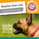 thumbnail image 5 of Mantequilla de cacahuete dental para perros Arm & Hammer Nubbies T-Bone, 5 of 8