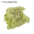 thumbnail image 2 of Musgo Artificial Falso Unique Bargains Musgo Natural Preservado Verde Amarillo, 2 of 7