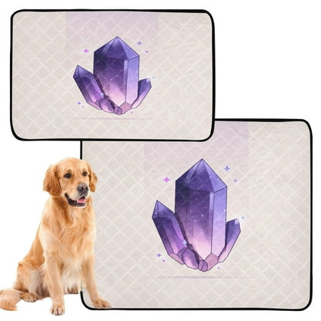 IAUYY Washable Pee Pads for Dogs Medium+Large Absorbent and Leak-Proof Non-Slip Reusable Puppy Pee Pads for Dogs Applicable to Playpen Potty Crate Fantasy Crystal