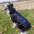 thumbnail image 4 of Frogued Dog Coat Skin-friendly Waterproof Clothes Outdoor Warm Pet Supplies for Autumn Winter (Blue,XL), 4 of 13