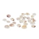 thumbnail image 4 of Beach Conch, para pecera, hogar, decoraciones , pecera y jarrón Gloria Decoración del tanque de peces de acuario, 4 of 9