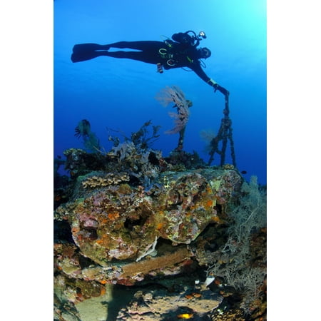 A diver hangs on to a piece of stern wreckage on the cross wreck a coaster sunk in WW2 Depth charges are clearly visible in the foreground Manokwari West Papua Indonesia Poster