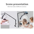 View all media
