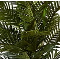 thumbnail image 3 of 56" Areca Palm Silk Tree w/Basket, 3 of 8