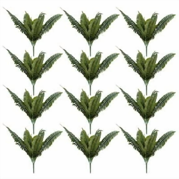 16 Pack: Boston Fern Bush by Ashland