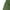 Green, variant on Fulorrnie Jean Jackets Toddler Boy's Print Zip Jacket Hooded Lightweight Windbreaker Outerwear Sweatshirt Color Solid Zip Jackets Long Hoodie Top Boys Sleeve Up Girls Kids Boys Coat Jacket