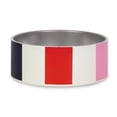 thumbnail image 1 of Plato de Acero Inoxidable Kate Spade New York Adventure Stripe Base Antideslizante 16oz para Perro P, 1 of 5