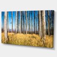 thumbnail image 2 of Ciel Clair et Buisson dans une Forêt Épaisse - Art Moderne sur Toile, 2 of 3