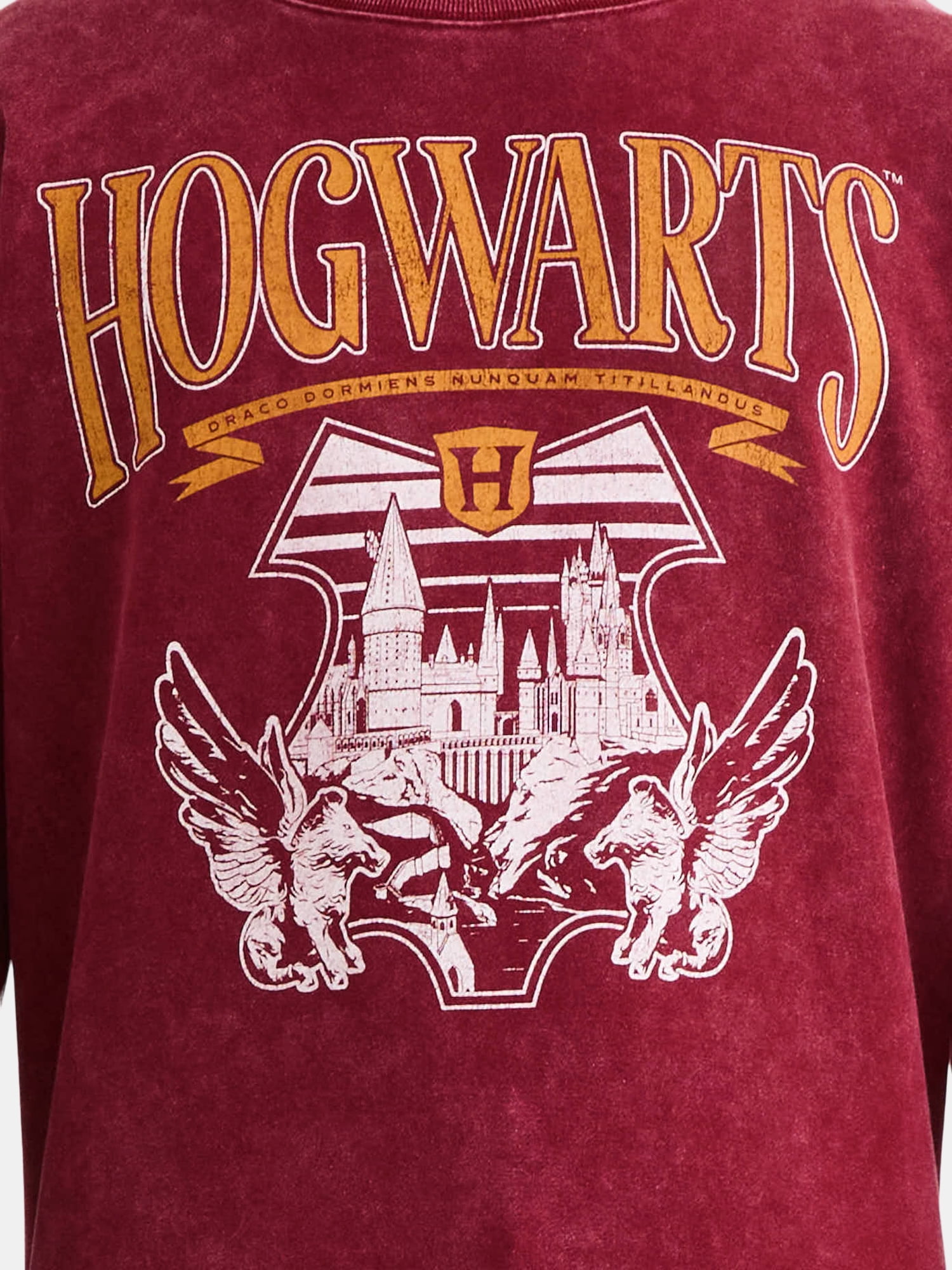 Harry Potter Men's & Big Men's Graphic Fleece Sweatshirt with Long Sleeves, Sizes XS-3XL