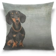 Wellsay Funny Dog Breed Dachshund Velvet Plush Throw Pillow Cushion Case Cover - 18" x 18" - Invisible Zipper Home Decor Floral for Couch Sofa No Pillow Insert