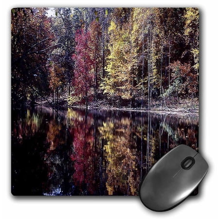3dRose  Trees with Autumn Colors by the Lake  MousePad price history on PriceWatchPro