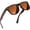 Matte Brown, variant on grinderPUNCH Mens and Womens Polarized Sunglasses UV400 Protection Classic Retro Driving Sun Glasses Trendy Fashion Shades - 2 Pack