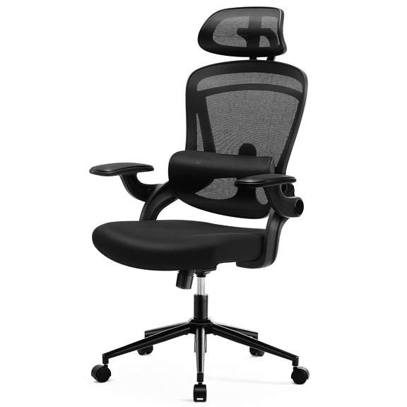 Lirago Ergonomic High Back Desk Chair with Adjustable Lumbar Support & Headrest, Mesh Office Chair with Flip Up Arms, Black