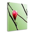 thumbnail image 2 of Tangletown Art, 30 x 30 "Tulip Tree 3 " by PhotoINC Studio, Gallery Wrap Canvas, 2 of 2