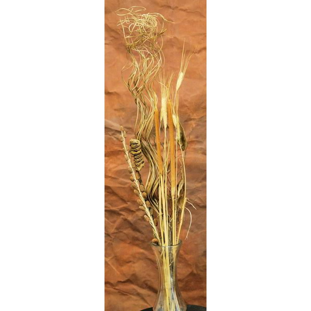 Dried Cattail Fall Bunch 1820in. Long Ingredients Curly ting ting