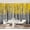 Color 2, variant on Wall Mural Peel and Stick School supplies Seamless Self-Adhesive Wallpaper Removable Wall Decal Wall Sticker Home Decor for Living Room Bedroom 100"x144"