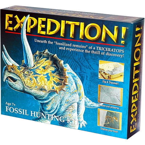 Expedition: Large "triceratops"
