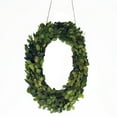 thumbnail image 1 of Modern Home 12" Real Preserved Boxwood Monogram Wreath Letters - 0, 1 of 2