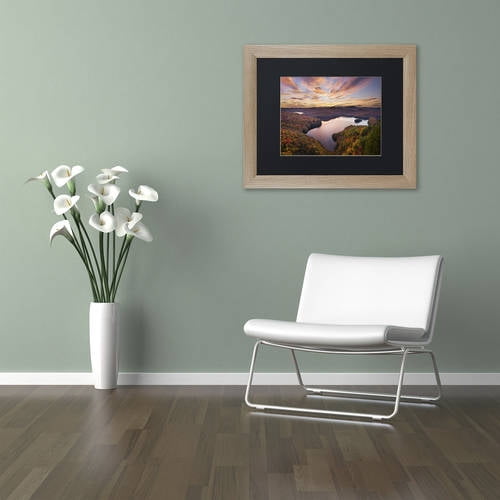 Trademark Fine Art "Autumn Vista" Canvas Art by Michael Blanchette Photography Black Matte, Birch Frame