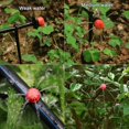 thumbnail image 5 of Goutteurs d'Irrigation, 100pcs Réglables Arroseurs Goutte à Goutte Kits de Système d'Irrigation Goutte à Goutte Micro Flux Tête d'Irrigation Buses de Brume, 5 of 5