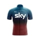 thumbnail image 4 of Maillot de ciclismo de manga corta de verano para hombre, camiseta de ciclismo de montaña, transpirable, de tricota, ropa deportiva para equipo profesional de montaña 2023, 4 of 4
