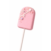2.5 Popsicle Cake pop Mold / Cutter / Pusher Set