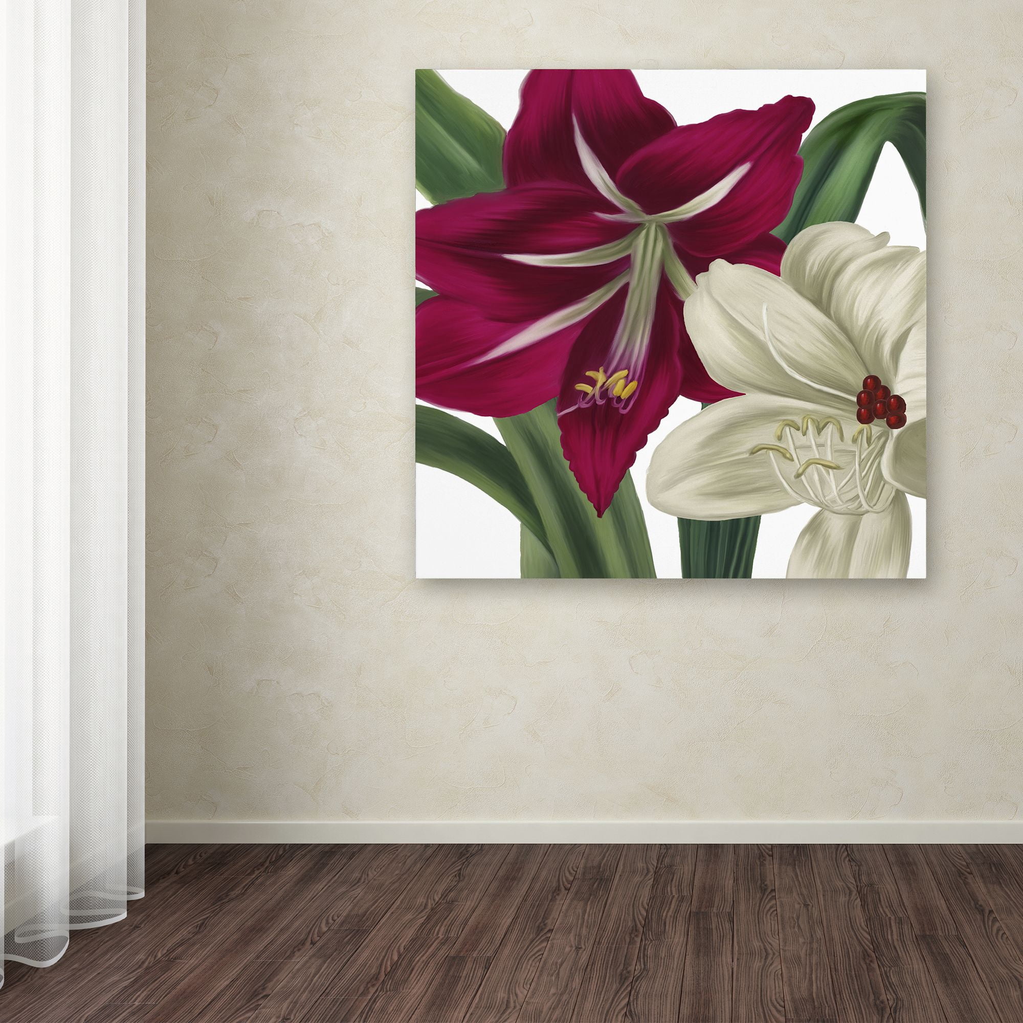Trademark Fine Art "Christmas Amaryllis I" Canvas Art by Color Bakery