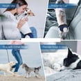 thumbnail image 5 of Dog Sanitary Nappies Dog Pants, Washable Adjustable Dog Diapers Protective Trousers, for Female Dogs Protective Pants in Heat Monthly Bleeding, 5 of 5