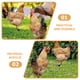 thumbnail image 4 of Estacas decorativas de acrílico para patio, 2 uds., estacas de pollo, señales de inserción de patio acrílico, estacas para césped, 4 of 5