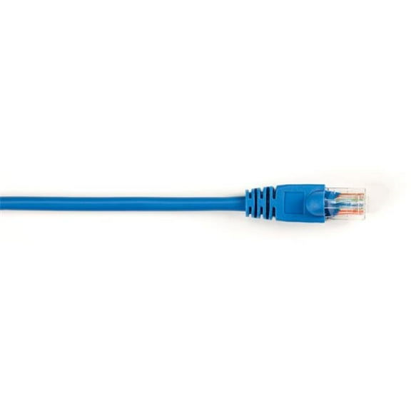 CAT5e 100 MHz Ethernet PVC Patch Cable, UTP - Snagless, Blue - 20 ft.