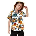 thumbnail image 3 of WOYY Boys Hawaii Beach Shirt Summer Vacation Short Sleeve Button Shirt, Sizes 6M-8Y, 3 of 3