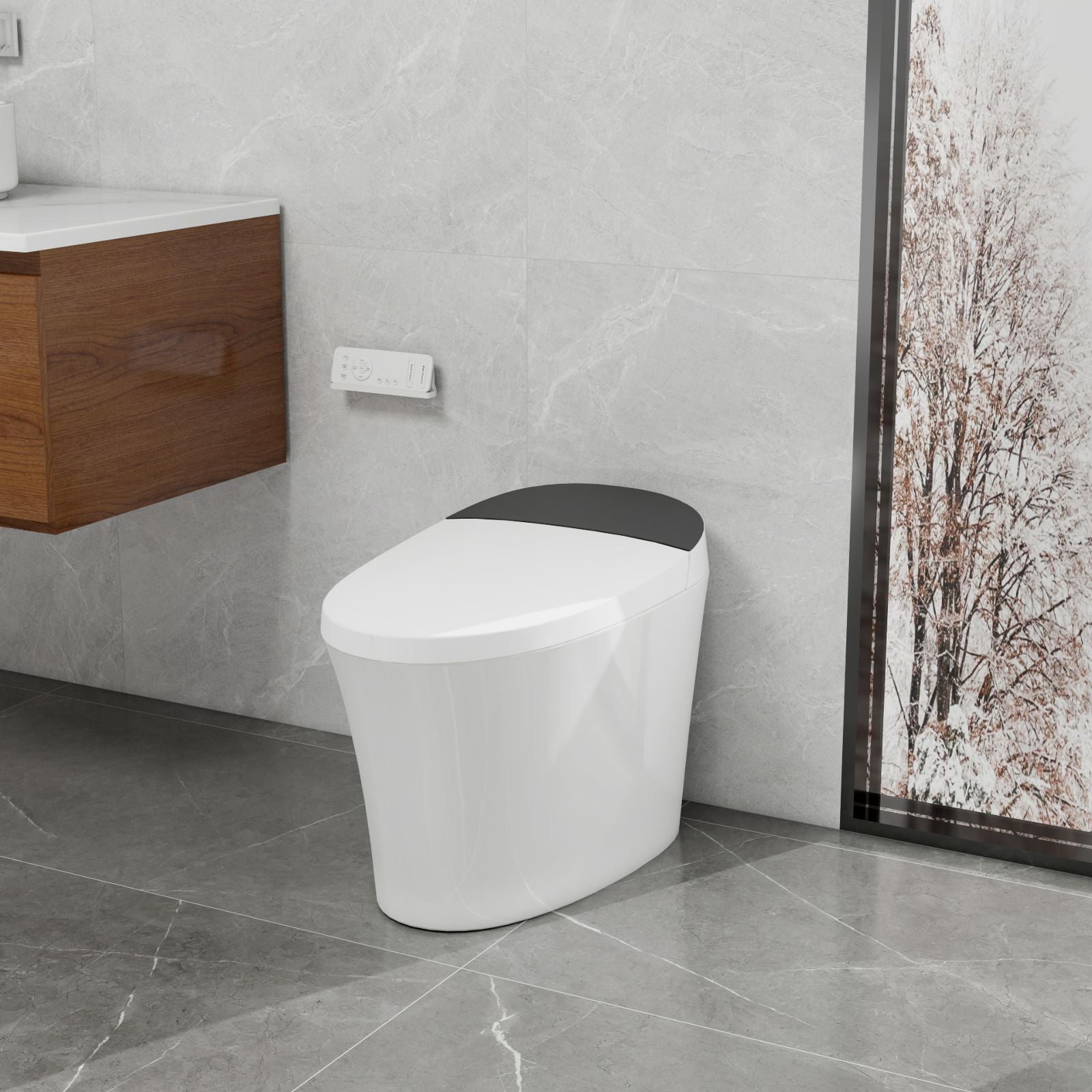 Bidet Toilets