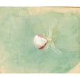 thumbnail image 2 of Emma Beach Thayer 14x12 Black Ornate Wood Framed Double Matted Museum Art Print Titled: Porcelain-White Spider, 2 of 5