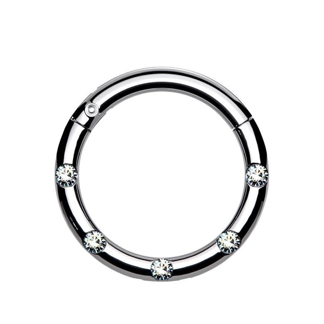 Hinged Segment Hoop Rings with 5 Flush Set Front Facing Petite Crystals