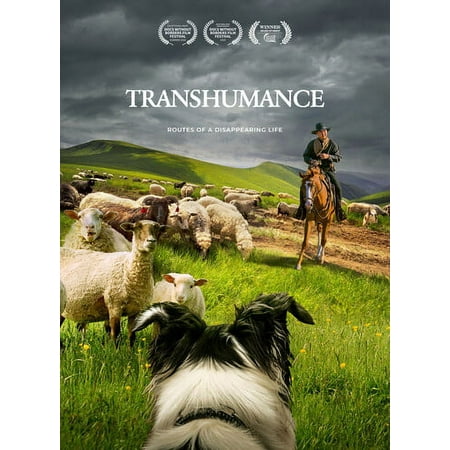 Transhumance: Routes To A Disappearing Life