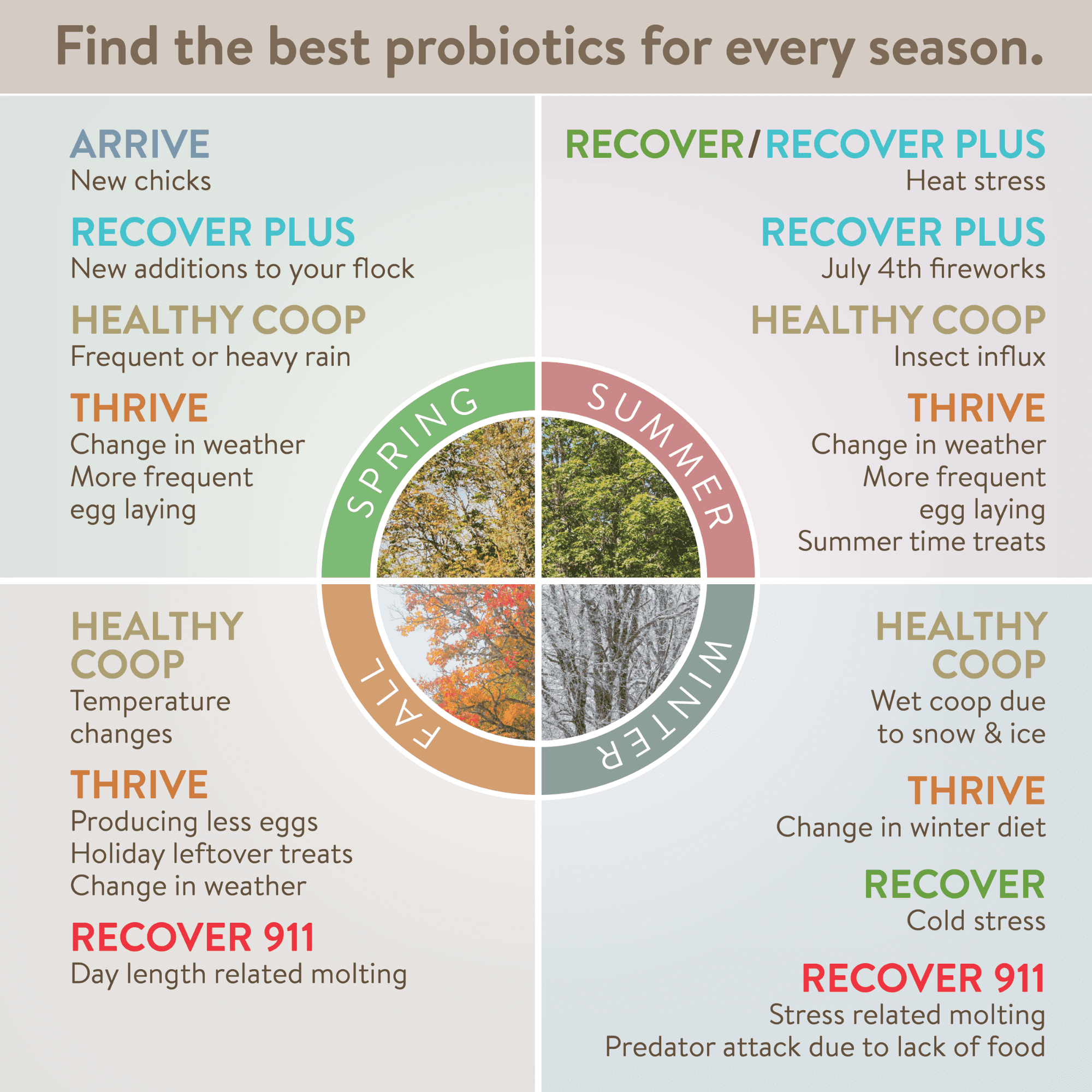 FlockLeader Recover 911 Poultry Supplement for Chickens, 2.5 Ounce