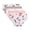 Teddy Bears, variant on Princess Rose Toddler Girls Underwear Pointelle Knit Soft Cotton Hipster Underwear Panties 5 Pack