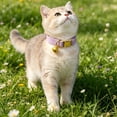 thumbnail image 3 of Adjustable Pet Collar with Bell and Removable Bow Tie Custom Engraved Metal Buckle for Cats Small Dogs 5.9x2.0x0.8 in, 3 of 3