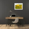 thumbnail image 3 of Tenoever, William 18x15 White Modern Wood Framed Museum Art Print Titled - Creosote in Bloom 2, 3 of 4