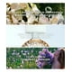 thumbnail image 3 of Perfume Guerlain Aqua Allegoria Flora Cherrysia Eau de Toilette 125 ml, 3 of 5