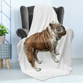 thumbnail image 4 of Bulldog Soft Flannel Fleece Blanket, Concept of a Side Profile Dog Sketchy Pet Lover Design English Breed, Cozy Plush for Indoor and Outdoor Use, 50" x 60", Pale Brown Dimgray White, by Ambesonne, 4 of 5