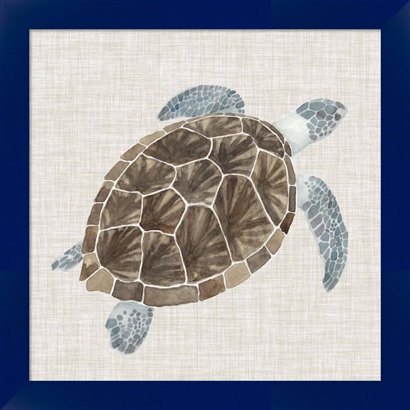 Great Art Now Sea Turtle I by Naomi McCavitt, Framed Wall Art, 14W x 14H
