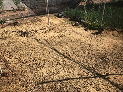 Product image Rice Hulls - Organic Use - 5lb - House Plants – Gardening - Chicken Bedding Nesting