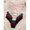 Multicolor, variant on 7-Pack Lace Bow Briefs Set Multicolor Womens Panties