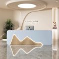 thumbnail image 4 of Luxury Store Reception Desk Counter Restaurant Standing Reception Desks Console Clinic Mesa Escritorio Beauty Salon Furniture My Lux Decor Round, 4 of 11