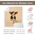 thumbnail image 5 of Pembroke Welsh Corgi Design Fleece Blanket, Beige, Dog Puppy Pattern Blanket for Kids Adults, Sherpa Throw Fuzzy Blankets Baby(30"x40"), 5 of 6