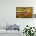 thumbnail image 3 of Trademark Fine Art 'The House of Vines' Canvas Art by Philippe Sainte-Laudy, 3 of 4