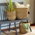 thumbnail image 2 of WHW Seagrass Baskets, Set of 3, Natural, Chunky Sweater Weave Wicker, Handmade, 16.5, 15.75, 14.25 inches, 2 of 13