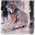thumbnail image 1 of Great BIG Canvas | Rolled Mark Adlington Poster Print entitled Sitting Wolf, 2000, 1 of 4