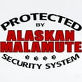 thumbnail image 2 of CafePress - Alaskan Malamute Security Infant Bodysuit - Baby Light Bodysuit, Size Newborn - 24 Months, 2 of 4